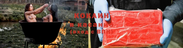 стаф Арсеньев