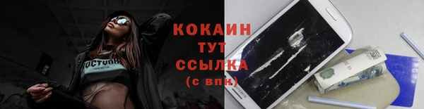 дмт Бердск