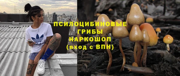 прущая мука Бикин
