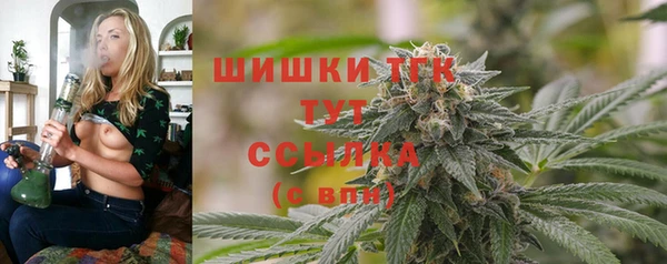 дмт Аркадак