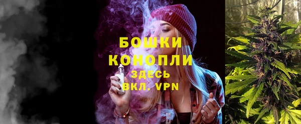 прущая мука Няндома