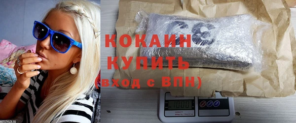 стаф Арсеньев