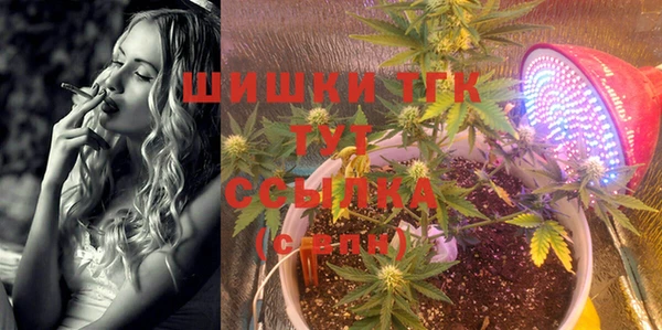 дмт Аркадак